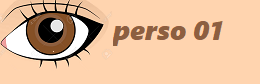 Personeros Electorales